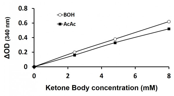 Ketone Body Assay Kit (Colorimetric)