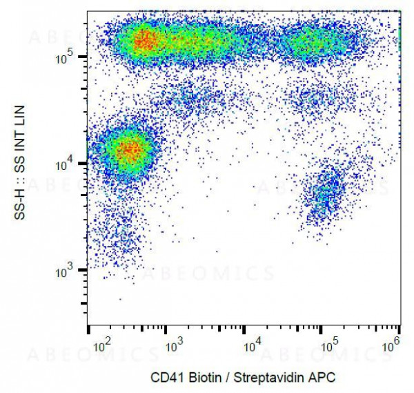 Anti-CD41 / Platelet GPIIb Monoclonal Antibody (Clone:MEM-06)-Biotin Conjugated