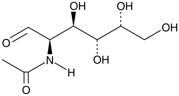 N-acetyl-D-Galactosamine