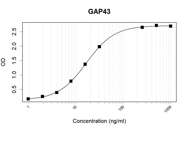 Anti-Human GAP43 Antibody Pair