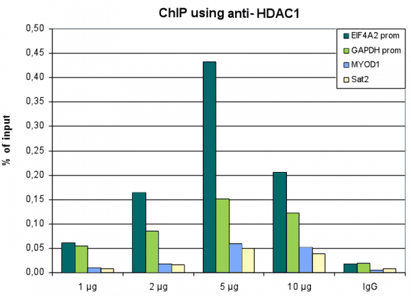 Anti-HDAC1