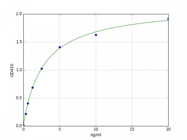 Mouse Ribonuclease T2 ELISA Kit