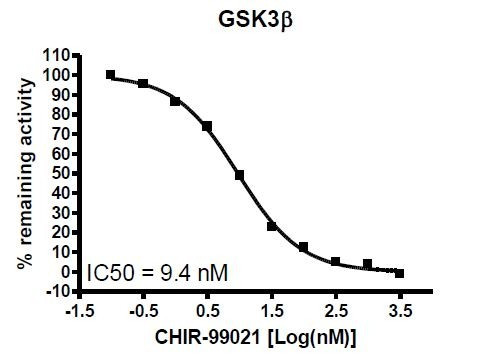 GSK3beta Kinase Assay Kit