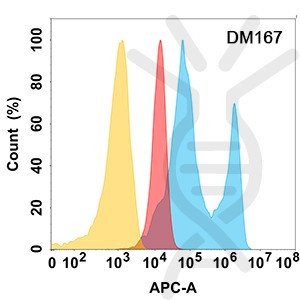 Anti-EPHA2 antibody(DM167), Rabbit mAb