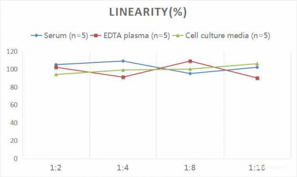 Rat CRP (C-Reactive Protein) CLIA Kit