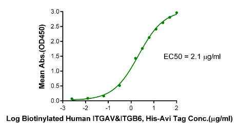 Latent TGF beta 1/TGFB1, His, Human