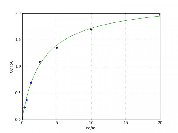 Mouse RUNX2 ELISA Kit