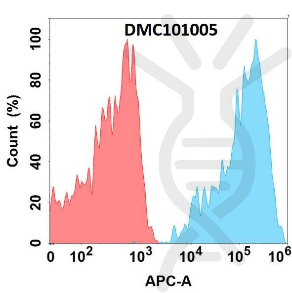 Anti-CD6 antibody(1G6), IgG1 Chimeric mAb