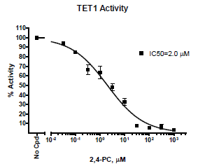 TET1 Chemiluminescent Assay Kit