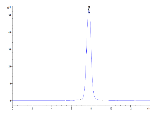 Human ANGPTL2/Angiopoietin-like 2 Protein