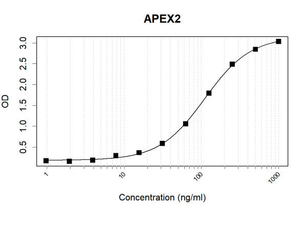 Anti-Human APEX2 Antibody Pair