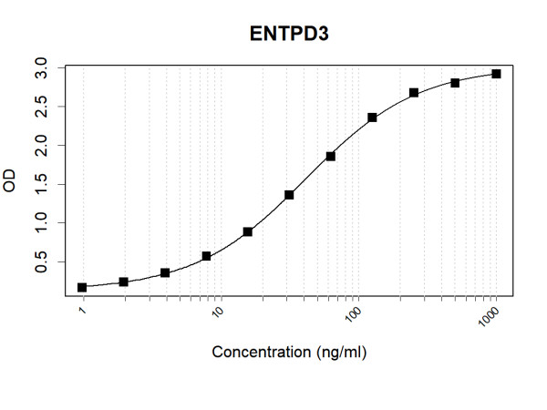 Anti-Human ENTPD3 Antibody Pair