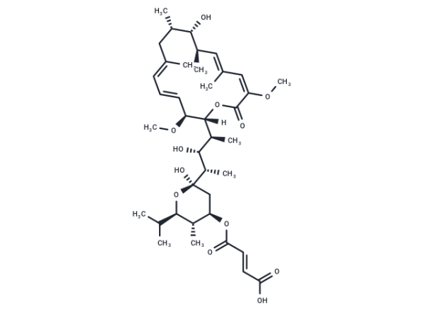 Bafilomycin C1