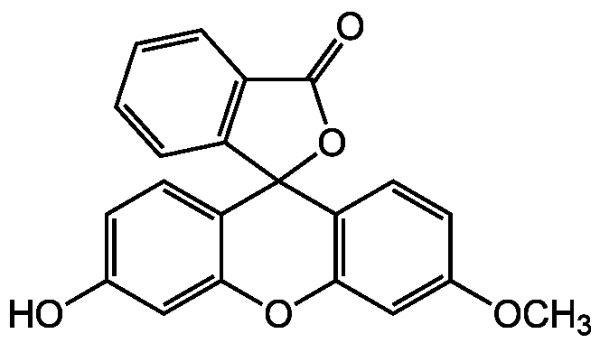 3'-O-Methylfluorescein