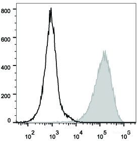 Anti-Mouse CD80 (PE/Cyanine7 Conjugated)[16-10A1], clone 16-10A1