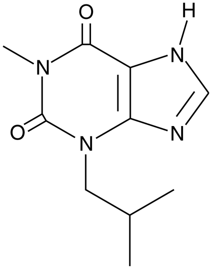 IBMX