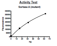 Sortase A Pentamutant, S. aureus, His-tag