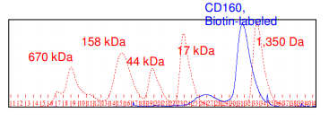 CD160, His-tag, Biotin-labeled