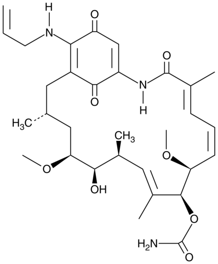 17-AAG