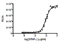 CD40/NF-kappaB Reporter (Luc) - HEK293 Stable Cell Line