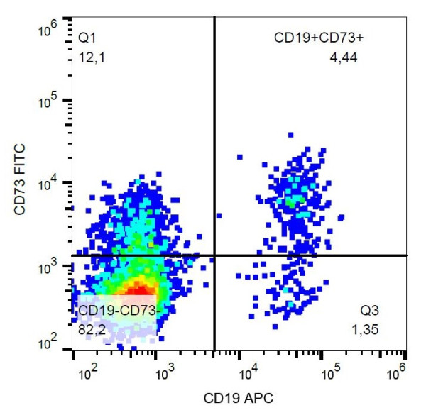 Anti-CD73 (FITC), clone AD2