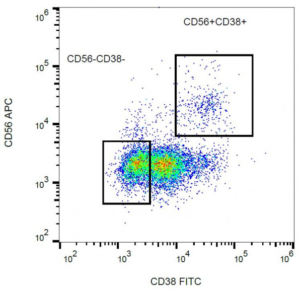 Anti-CD38, clone HIT2 (FITC)