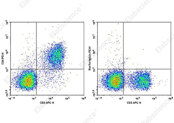 PE Anti-Mouse CD6 Antibody[OX-129]
