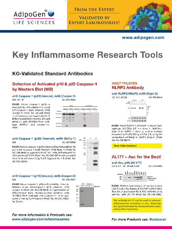 Key Inflammasome Research Tools