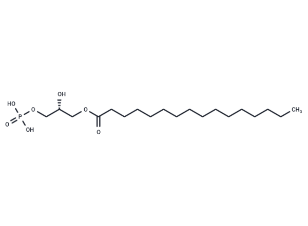 1-Palmitoyl-sn-glycerol 3-phosphate