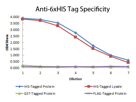 Anti-6X HIS EPITOPE TAG, clone 33D10.D2.G8
