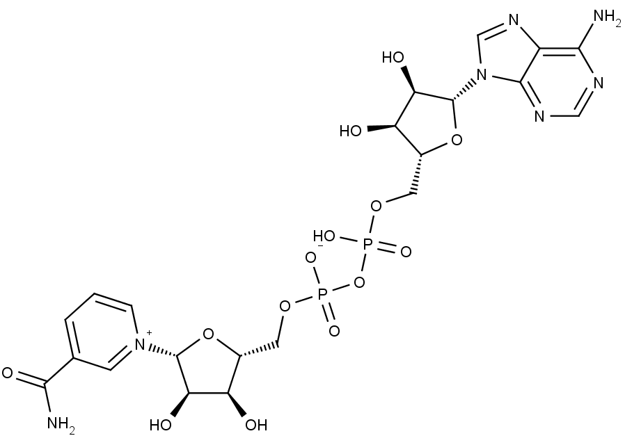 Nad+ (никотинамид рибозид). Никотинамид аденин. Никотинамид аденин динуклеотид. Nad+ строение.