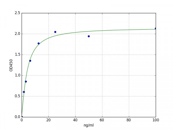 Human PLD2 / Phospholipase D2 ELISA Kit