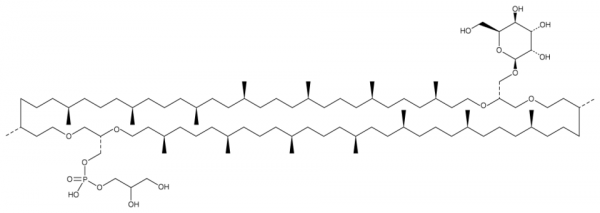 beta-L-Gulopyranosyl-caldarchaetidyl-glycerol