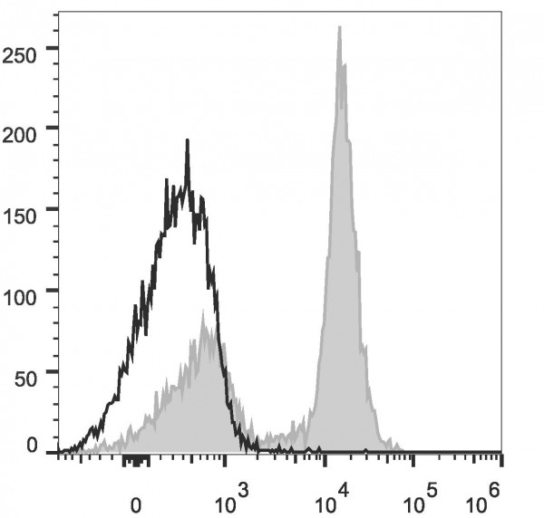 PE Anti-Mouse CD16/32 Antibody [2.4G2]