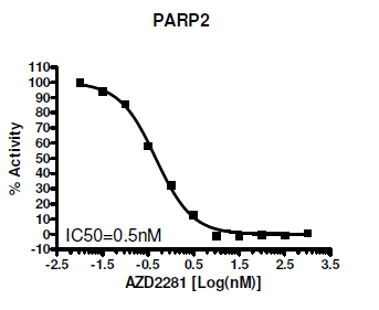 PARP2 Colorimetric Assay Kit