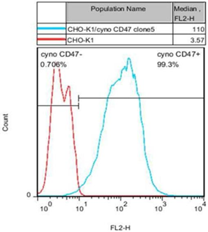 CHO-K1/Cyno CD47 Stable Cell Line