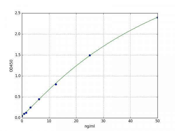 Human SMOX / Spermine oxidase ELISA Kit