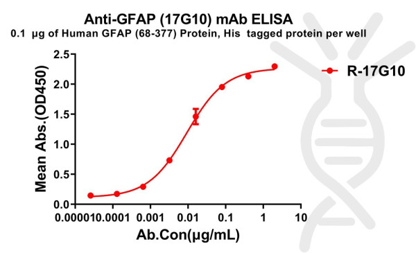 Anti-GFAP(68-377) antibody(17G10), Rabbit mAb