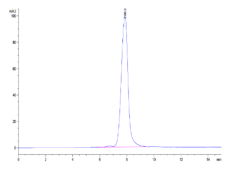 ANGPTL2/Angiopoietin-like 2[Biotin], His &amp; Avi, Human