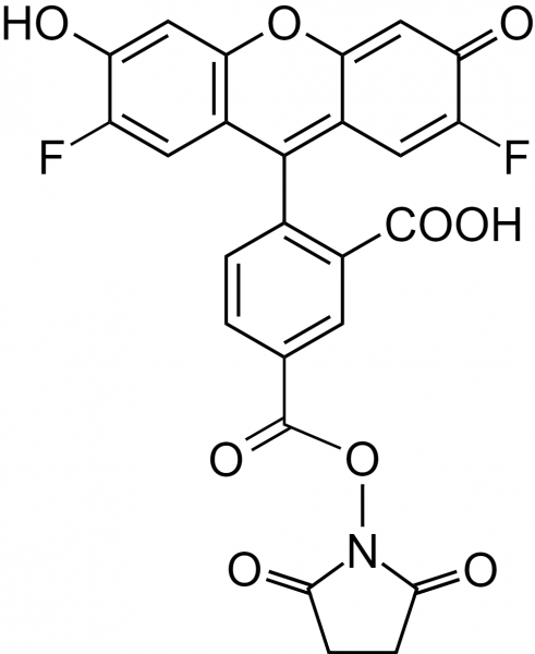 5-OG488 succinimidyl ester [similar to Oregon Green(R) 488 carboxylic acid, succinimidyl ester, 5-is