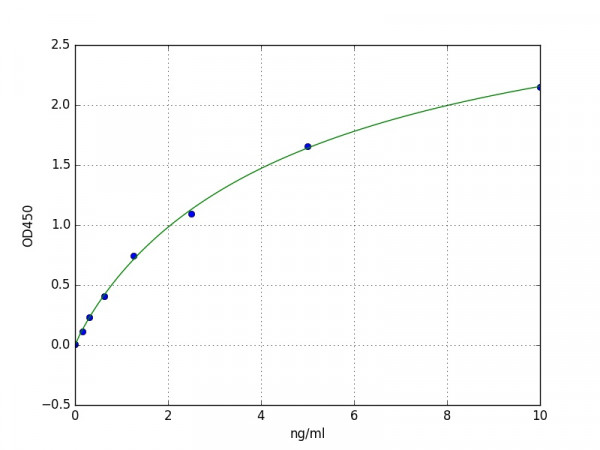 Human SAE1 ELISA Kit
