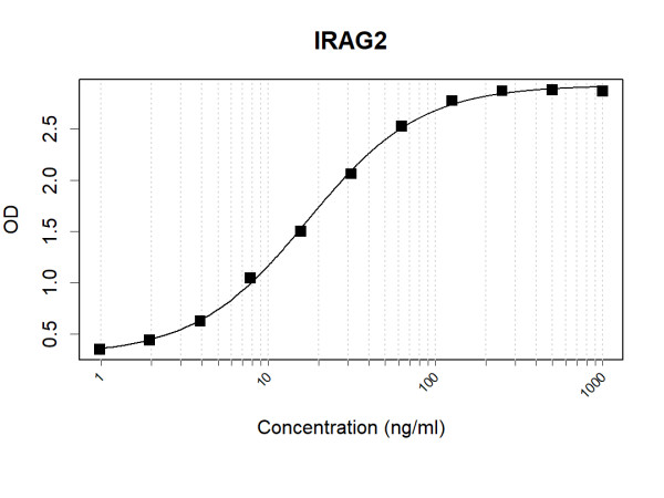 IRAG2 (human) Antibody Pair