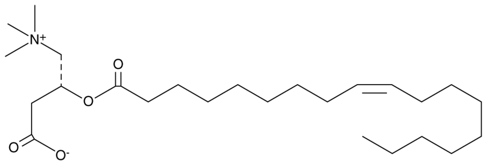 oleoyl-l-carnitine Oleoyl-L-carnitine | CAS 38677-66-6 | Cayman Chemical