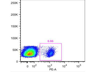 FACS and IF Staining Buffer with FBS