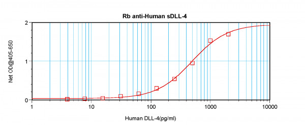 Anti-DLL4