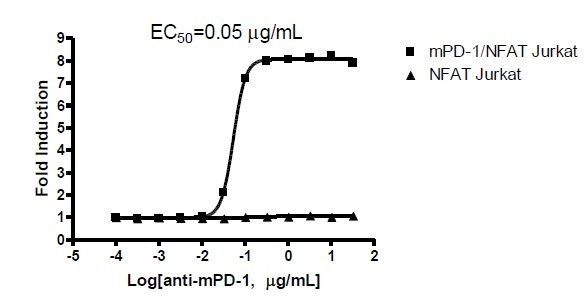 PD-1 (Mouse) / NFAT - Reporter - Jurkat Recombinant Cell Line