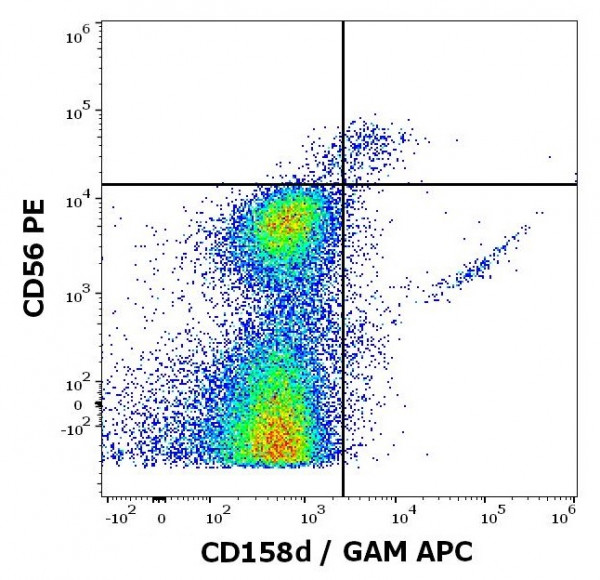 Anti-CD158d, clone mAb#33