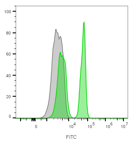 Anti-CD4(C4/206), CF405S conjugate, 0.1mg/mL