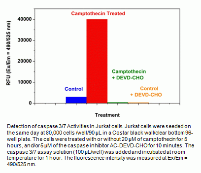 Amplite(TM)Fluorimetric Caspase 3 Assay Kit *Green Fluorescence*
