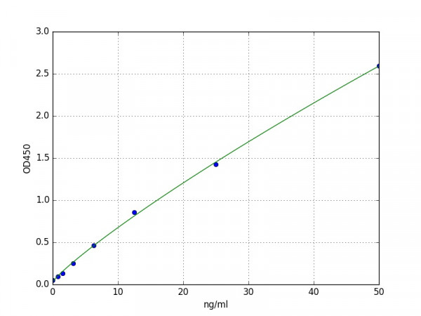 Human STAT5b ELISA Kit